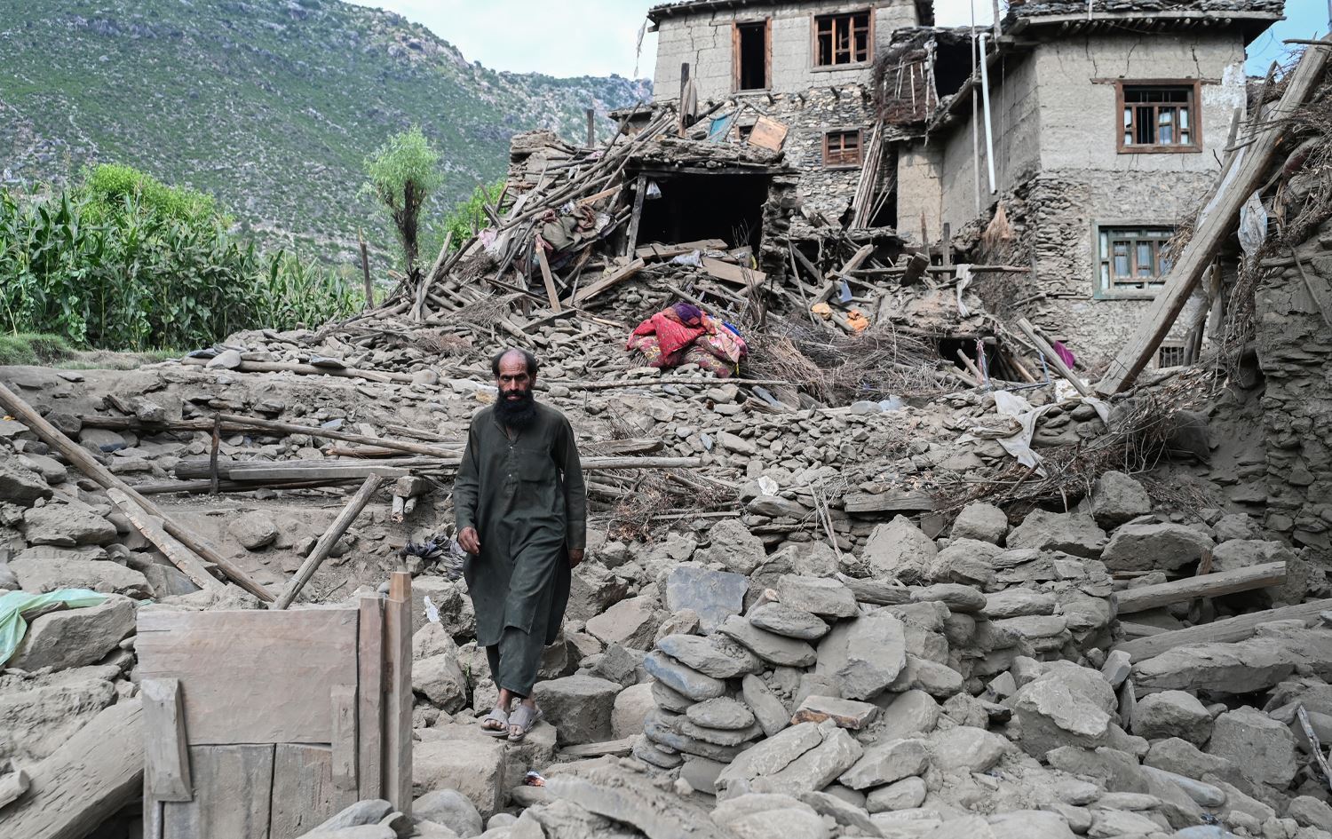 Kavilên erdhejê\ Wêne: AFP