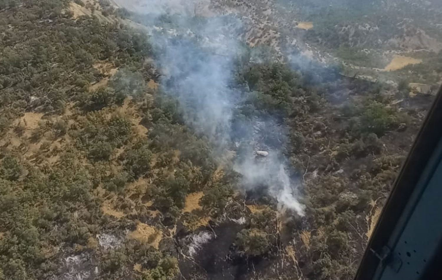 Şırnak’taki orman yangını kontrol altına alındı. / Foto:  AA