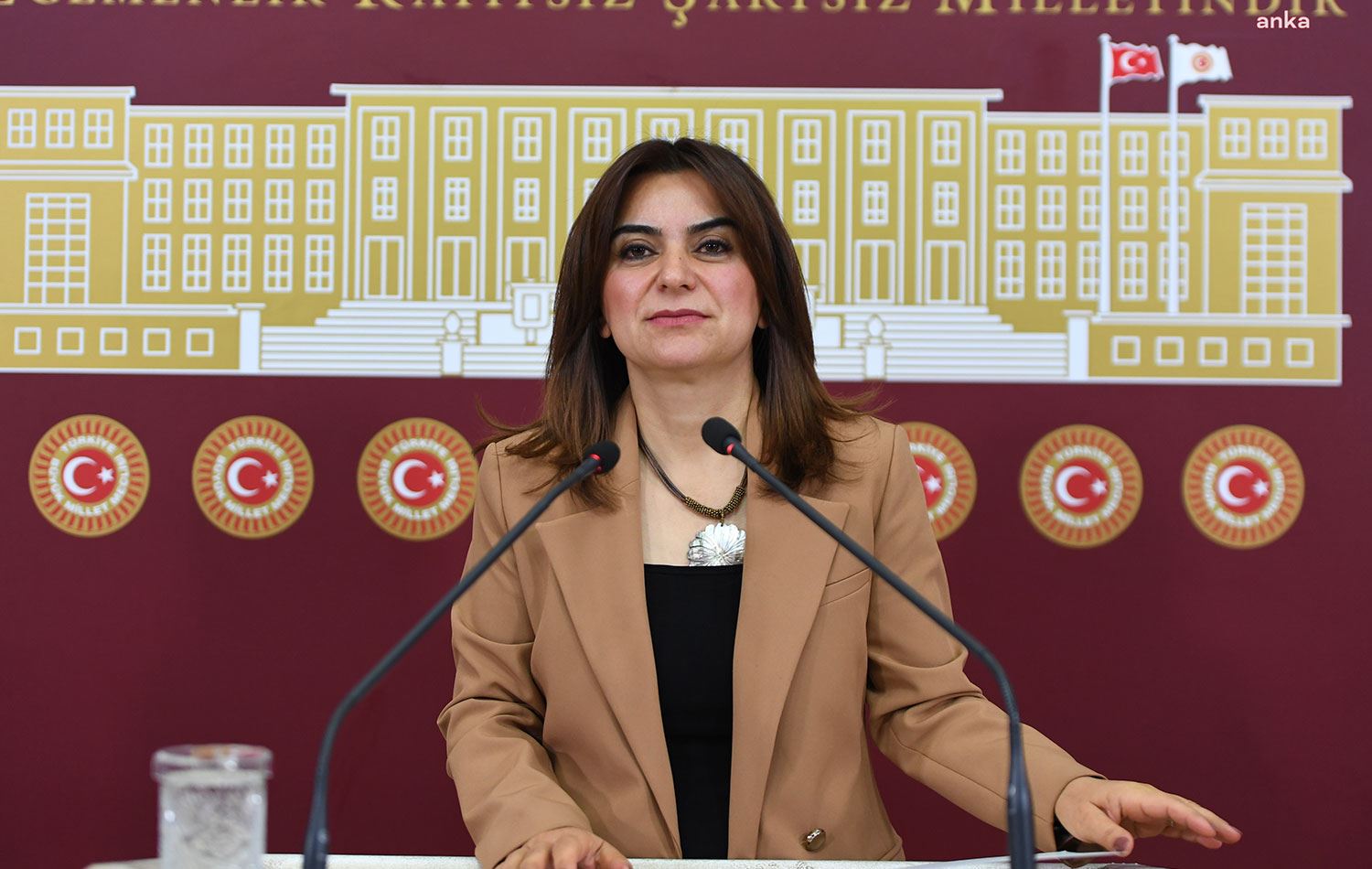 DEM Parti Grup Başkan Vekili Gülistan Kılıç Koçyiğit / Foto: Arşiv