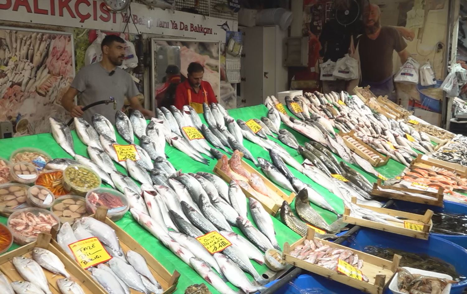 Firoşgeheke masiyan /Wêne û Vîdeo: Faruk Uysal-Rûdaw