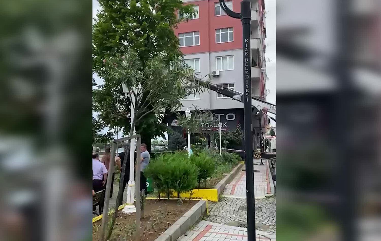 Rize'de 100 yıllık ağaç kesildi. / Foto: ANKA