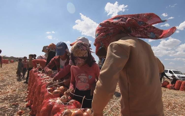 Okullar açıldı ama çocuk işçiler için ders zili çalamadı. / Foto: Video Alıntısı / Rûdaw