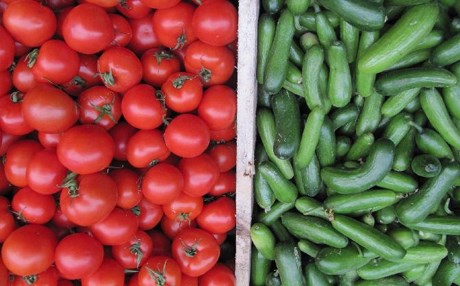 پیاوان بە خەیار و تەماتە دەخەڵەتێندرێن