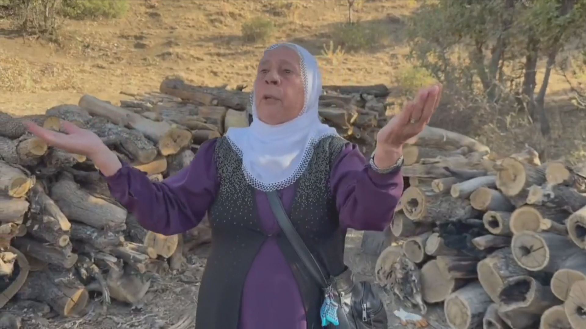 Dayîkeke Şirnexî / Wêne: Ji dîmenan hatiye girtin