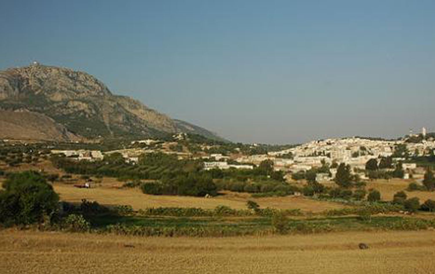 لیژنەی لاوەکیی هەڵبژاردن لە سەرێکانی و گرێسپیی رۆژئاوای کوردستان پێکهێندرا