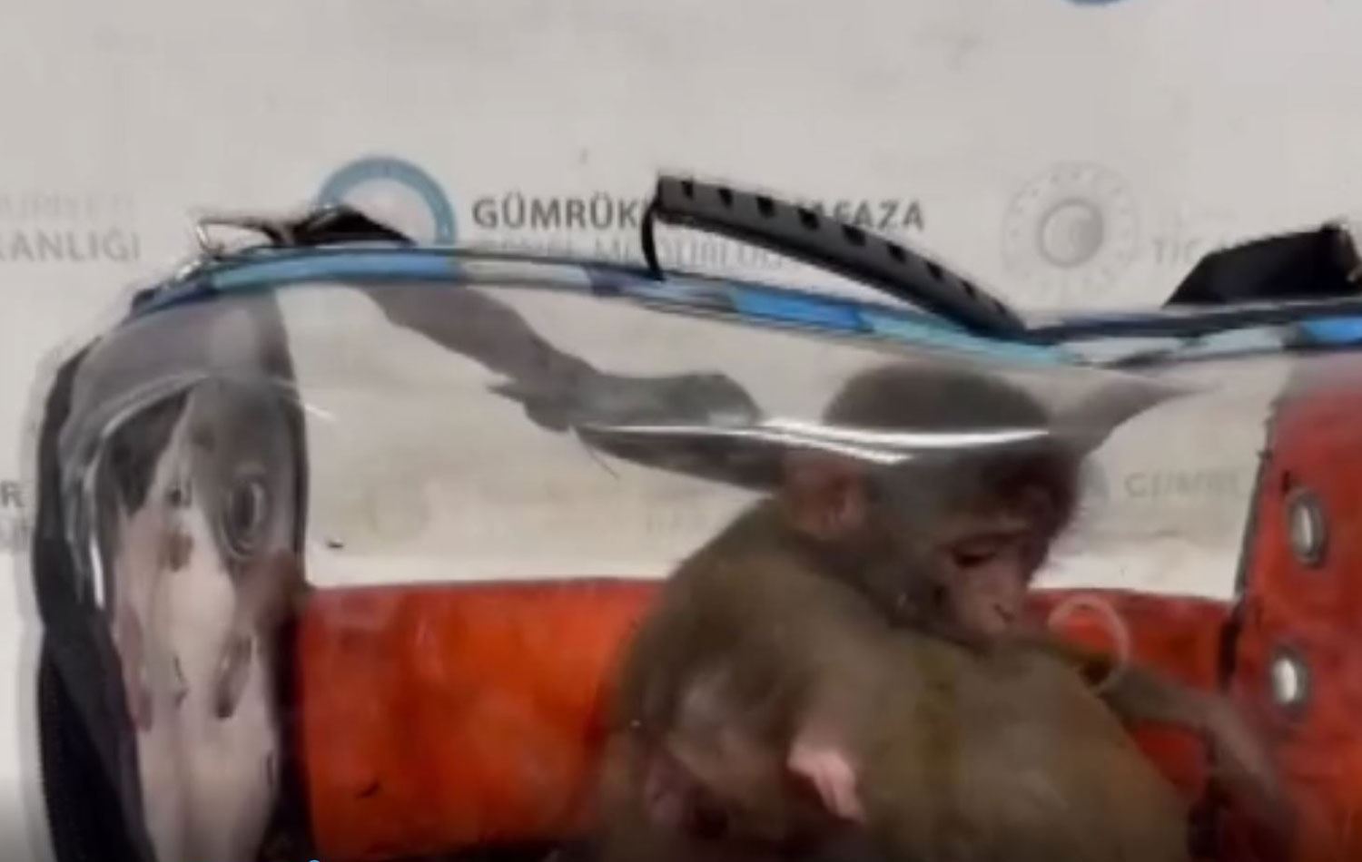 Video alıntısı / AA