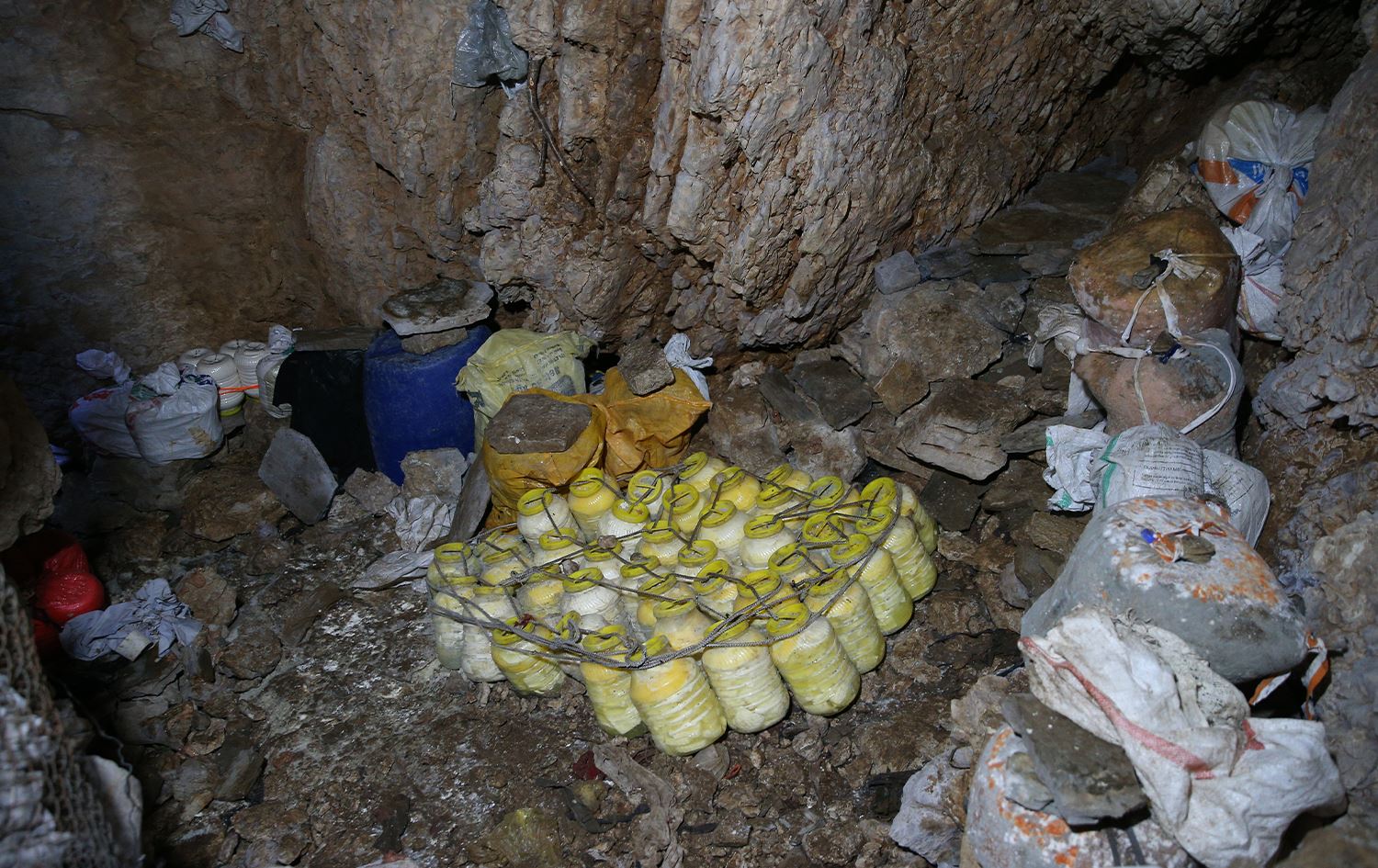 Behemên gundiyan ên ku li şikeftê tên parastin/Wêne: AA