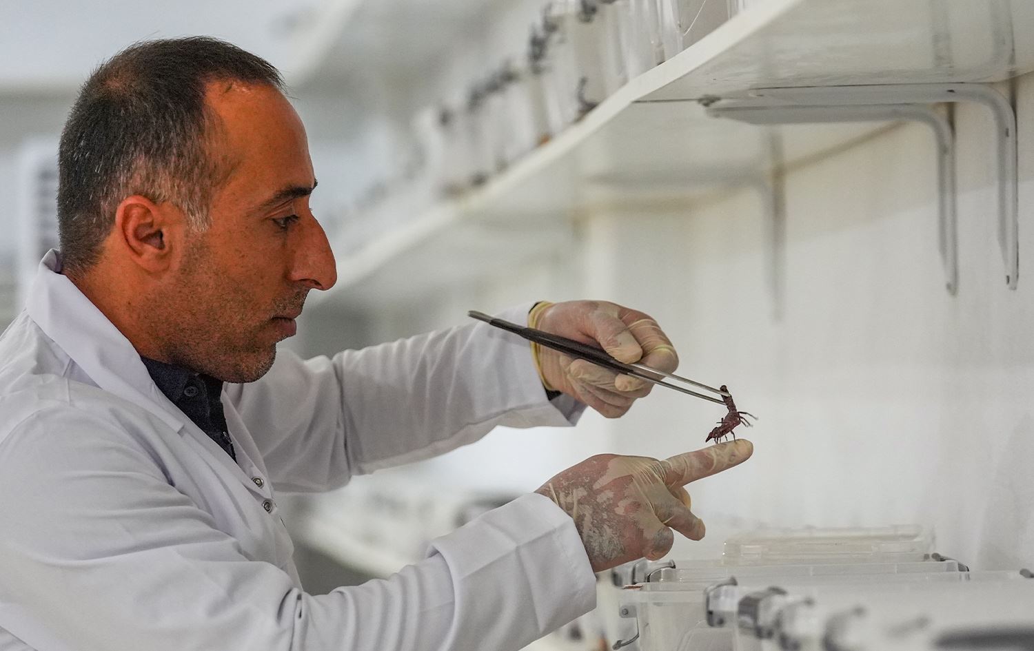 Abdullah Fîdanten / Wêne: AA