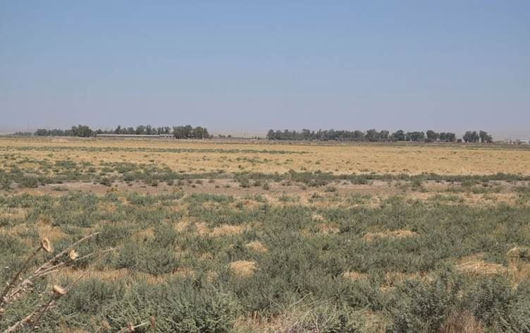 Erd û zeviyên Kurdan / Wêne: Ji ber dîmenan, Rûdaw