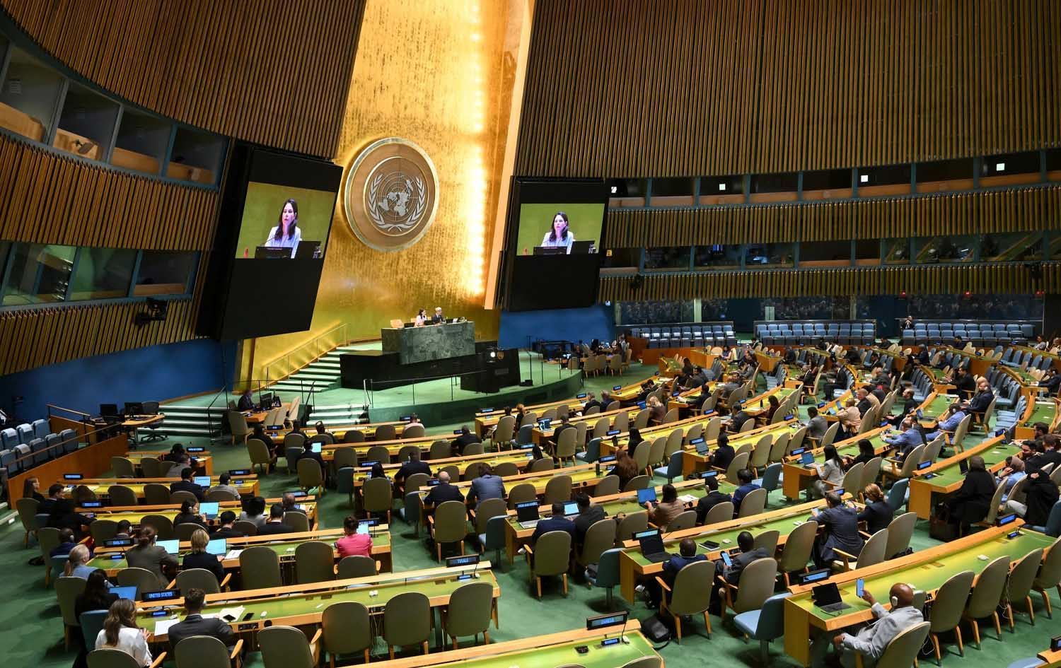 BM Genel Kurulu'nda Filistin oturumu 