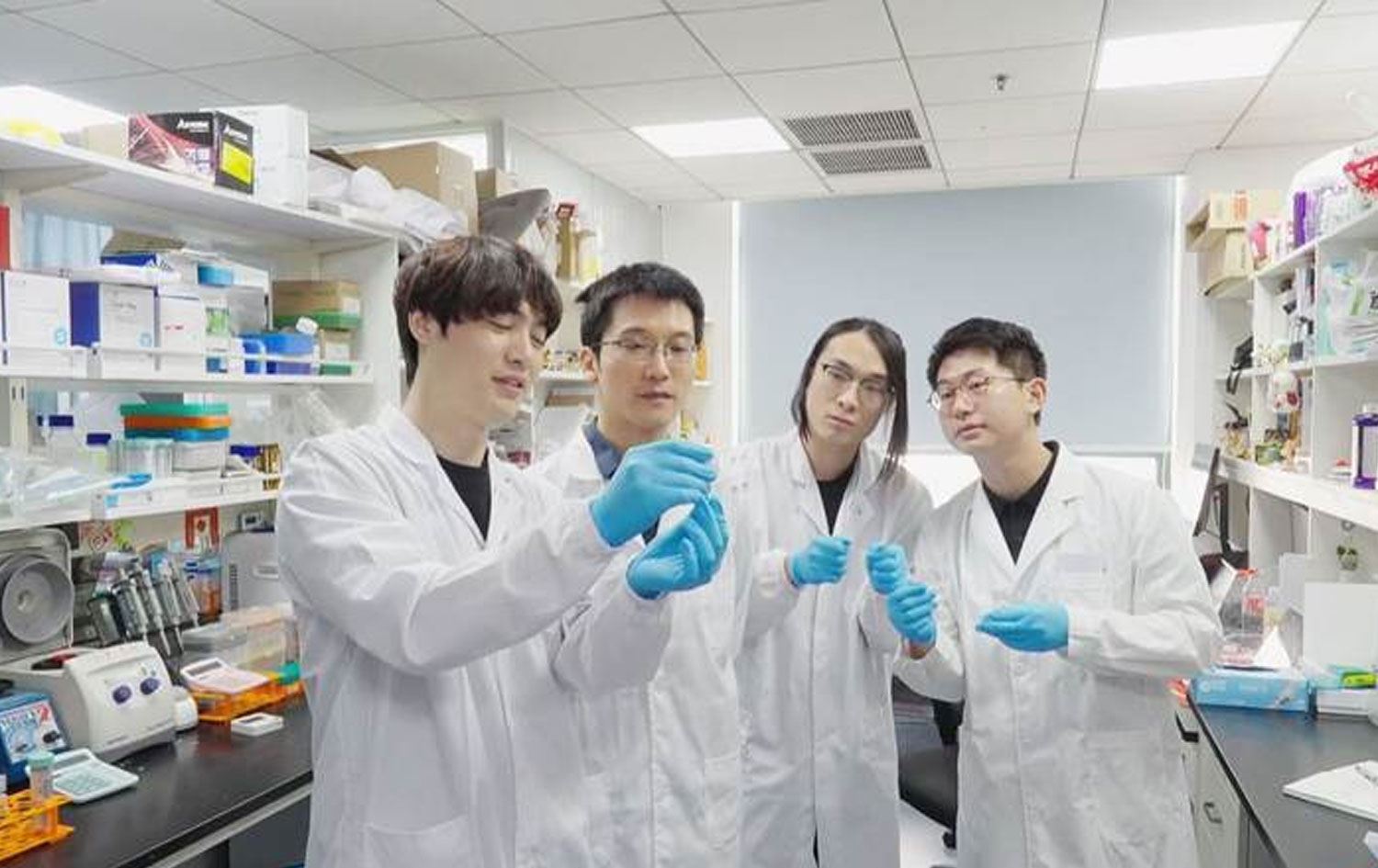 Lêkolerên Çînî  / Wêne: Ji ber dîmenan 