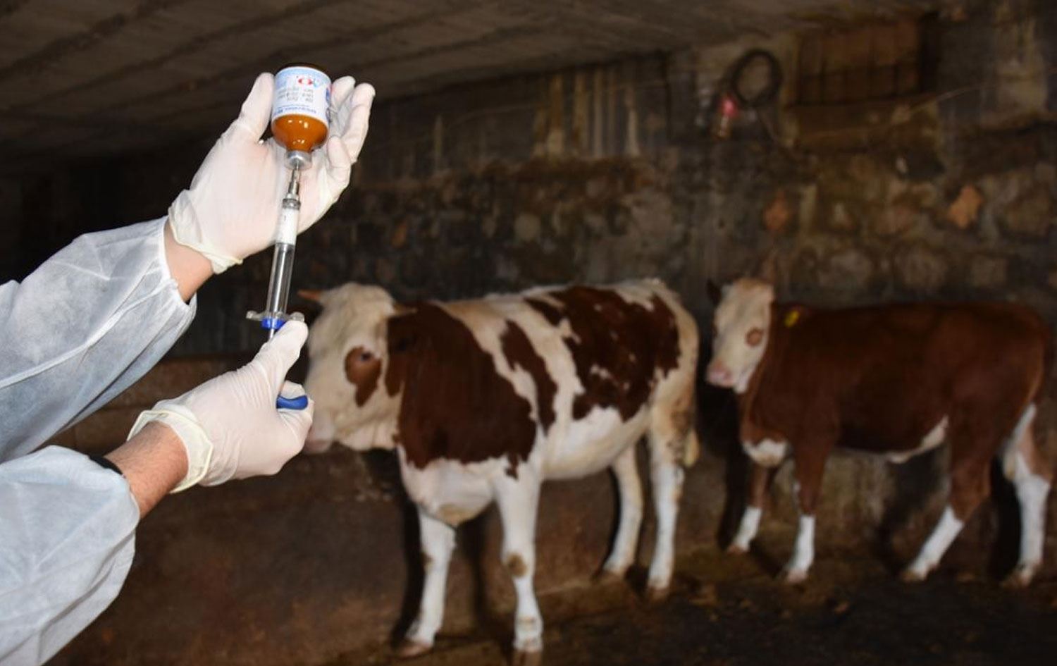 Dewar tên derzîkirin / Wêne: Arşîv 