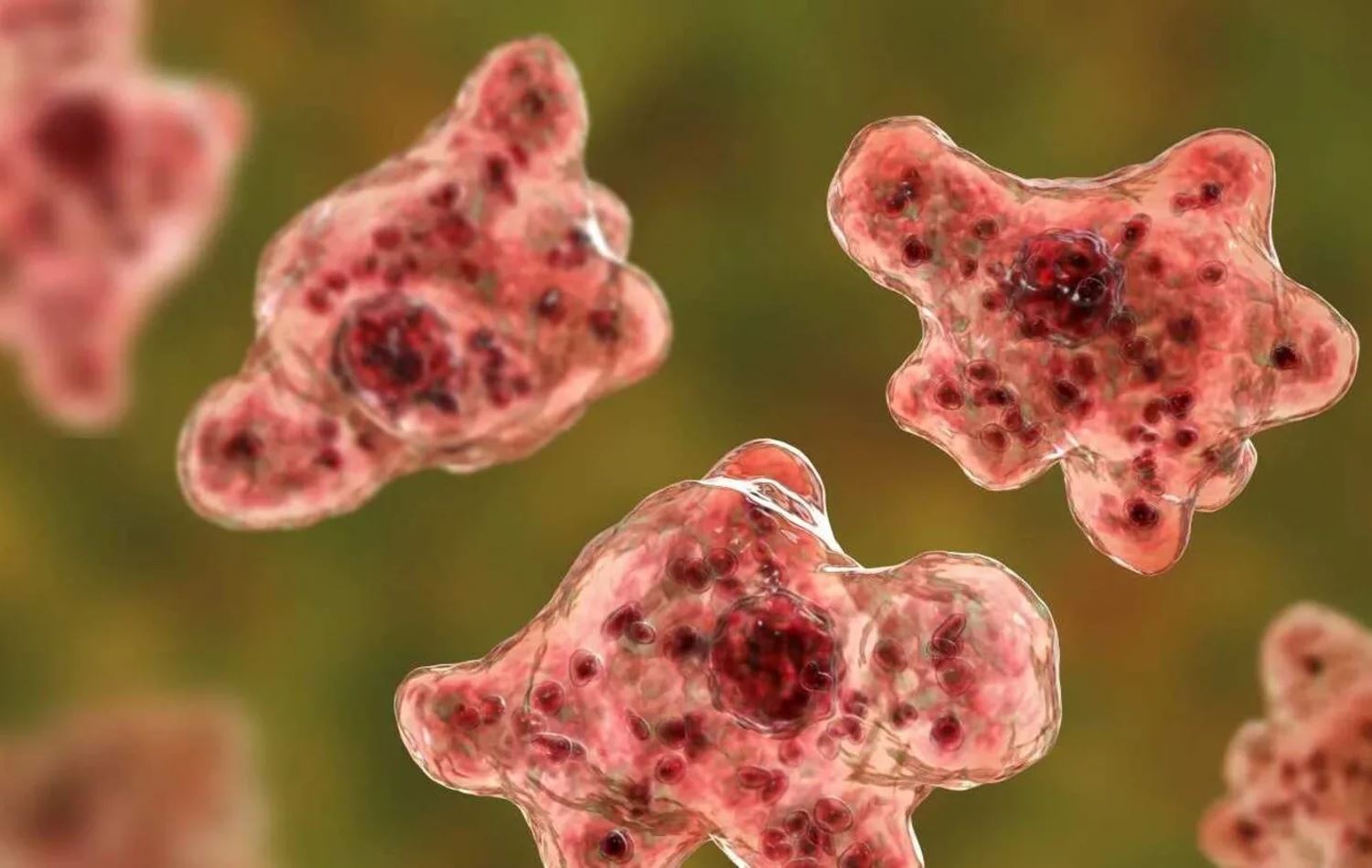 Foto: Temsili Fotoğraf