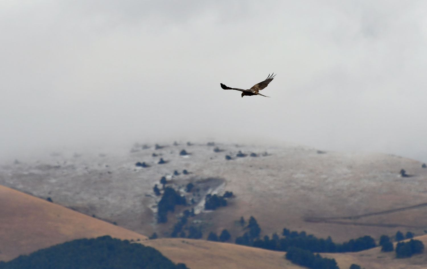 Li deverên bilind en Qersê berf hat / Wêne: AA