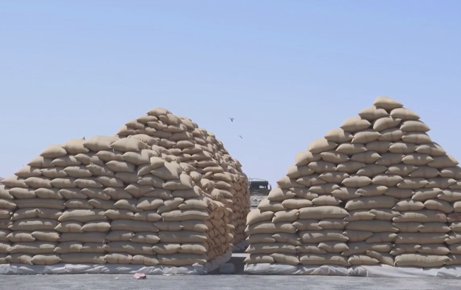 Tovê ji bo çandiniyê / Wêne: Ji dîmenan hatiye girtin