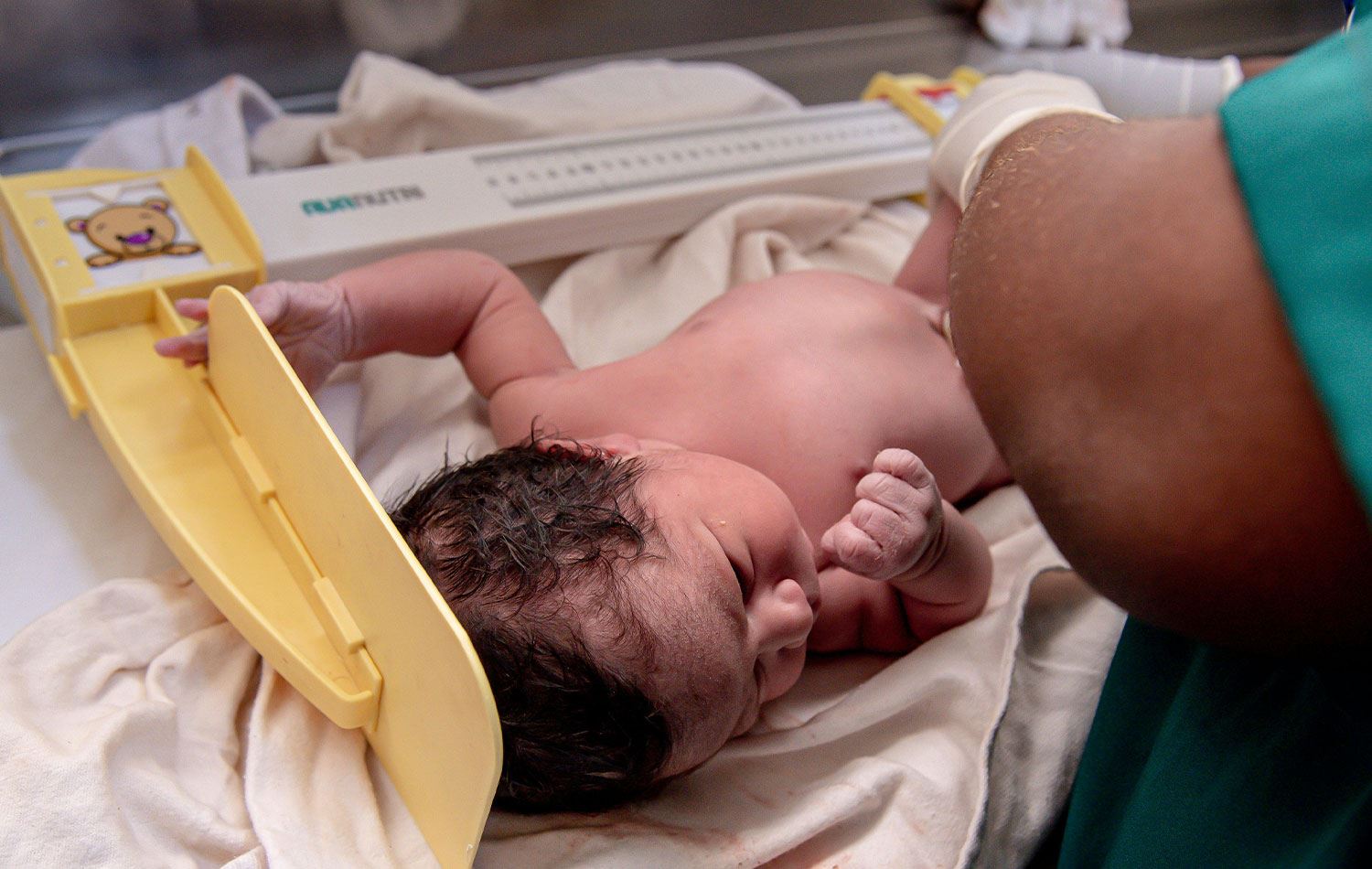 Fotoğraf: Wellington Tavares / https://www.pexels.com/tr-tr/fotograf/33919289/