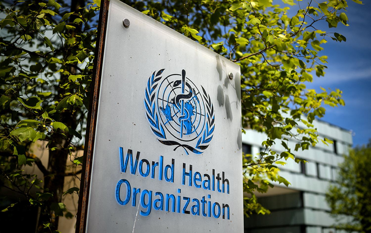 رێکخراوی تەندروستیی جیهانی قسەیەکی دۆناڵد ترەمپ لەبارەی دەرمانێک بەهەڵە دەخاتەوە