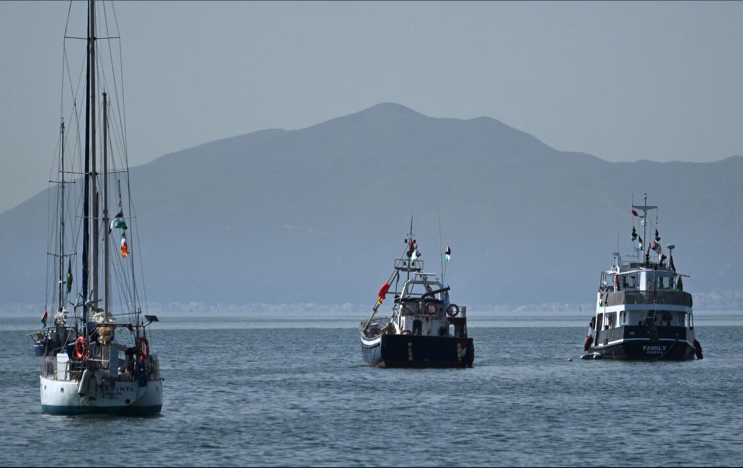 Fîloya Sumudê ya Cîhanî / Wêne: Ajans