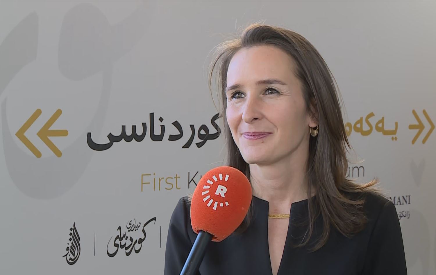 Poet calls for fair credit in Kurdish literary translations