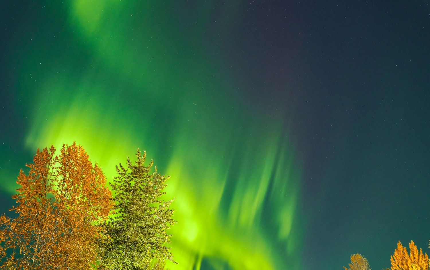 Roniyên Bakur asmanê Alaskayê xemiland / Wêne: AA