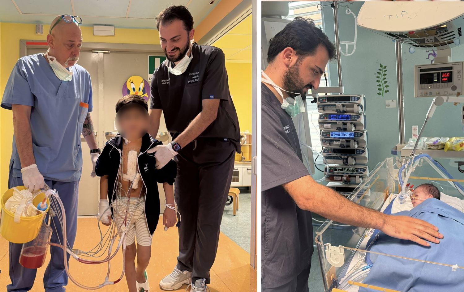 چارەسەرکارێکی سرووشتیی رێکخراوی هێڤی: پێویستمان بە ئەزموونی زیاترە لە بوارەکەماندا