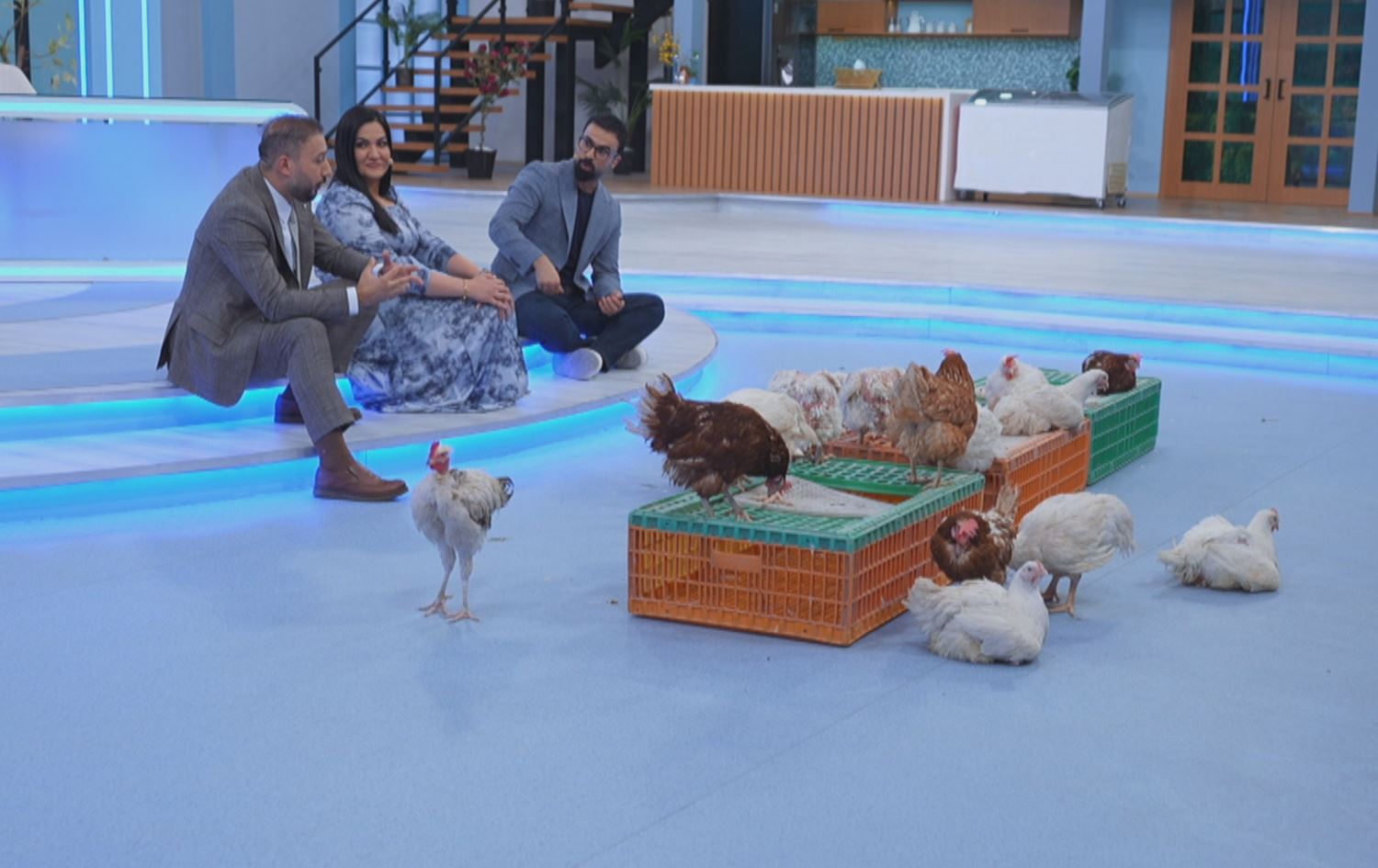 بەرنامەی دکتۆر ئاراس؛ مریشکی سوور نەخورێت و مریشکی 1.8بۆ 2.5 کیلۆگرامی بکڕدرێت