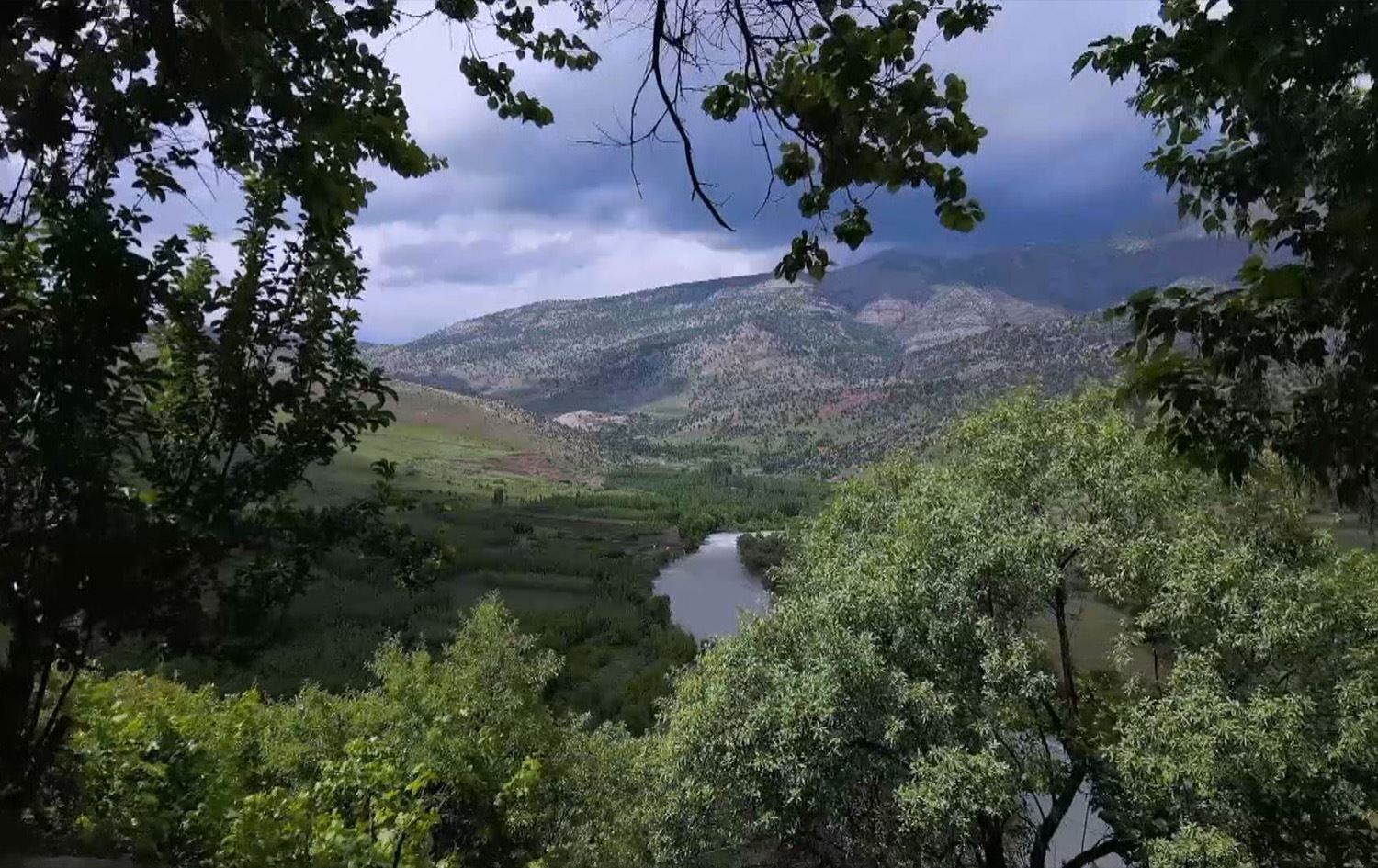 Berwarî Bala ji nû ve şên dibe: Li cihê dengê topan, niha dengê cotkaran tê