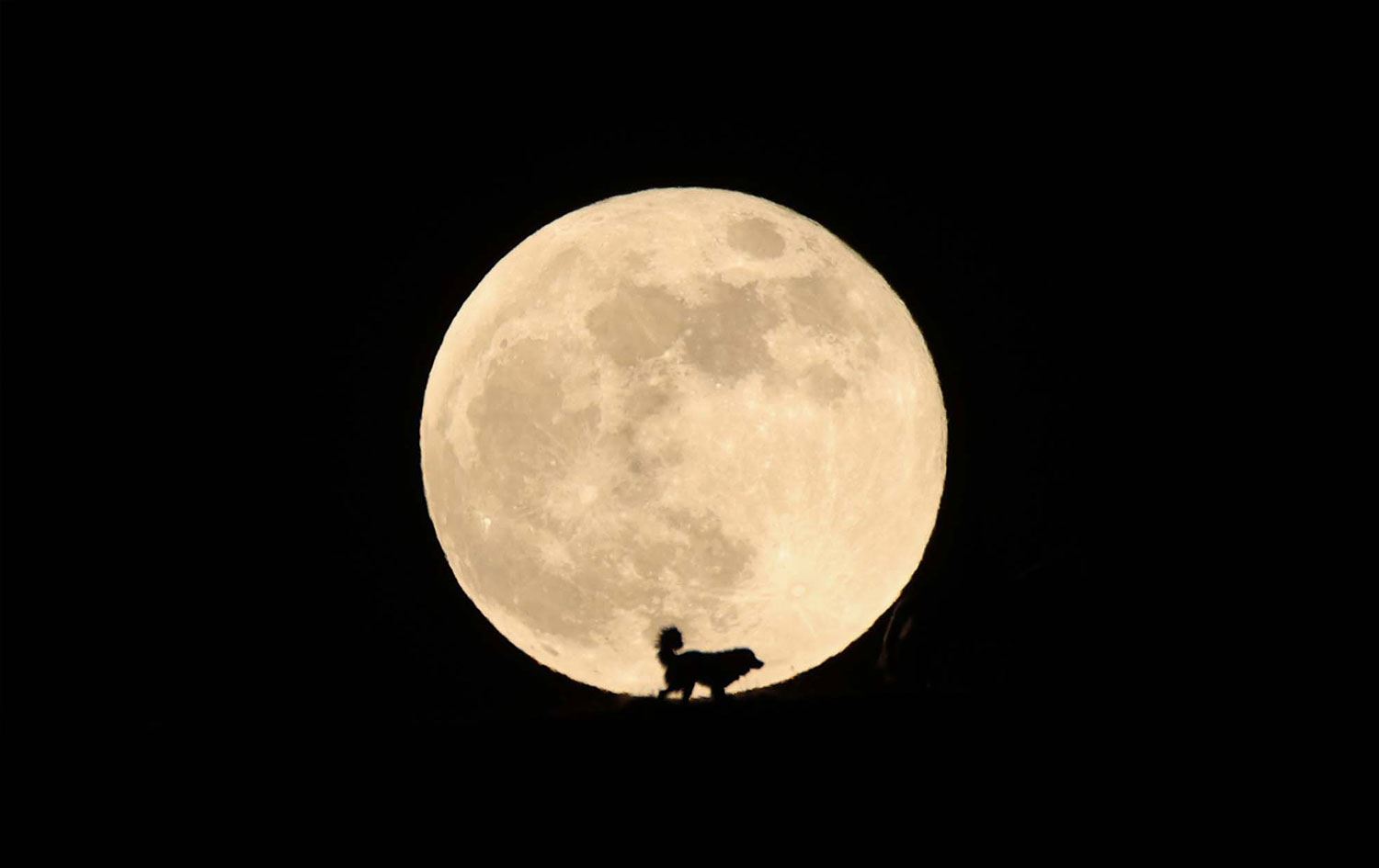 “Süper Ay” Van’da güzel görüntüler oluşturdu(2021) Foto: AA