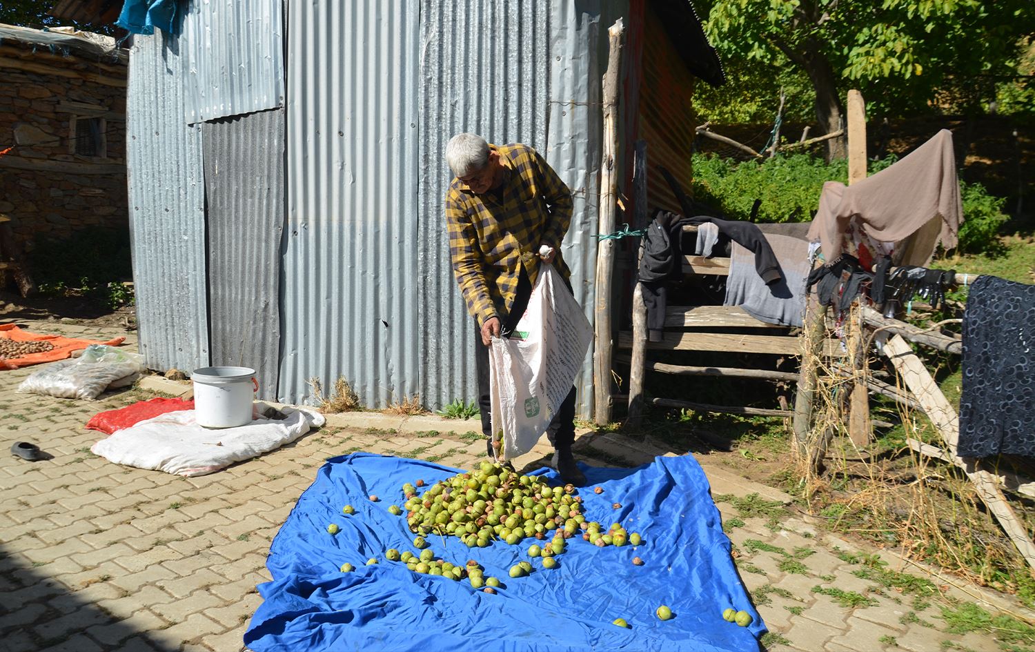 Gûzên Mûşê / Wêne: AA