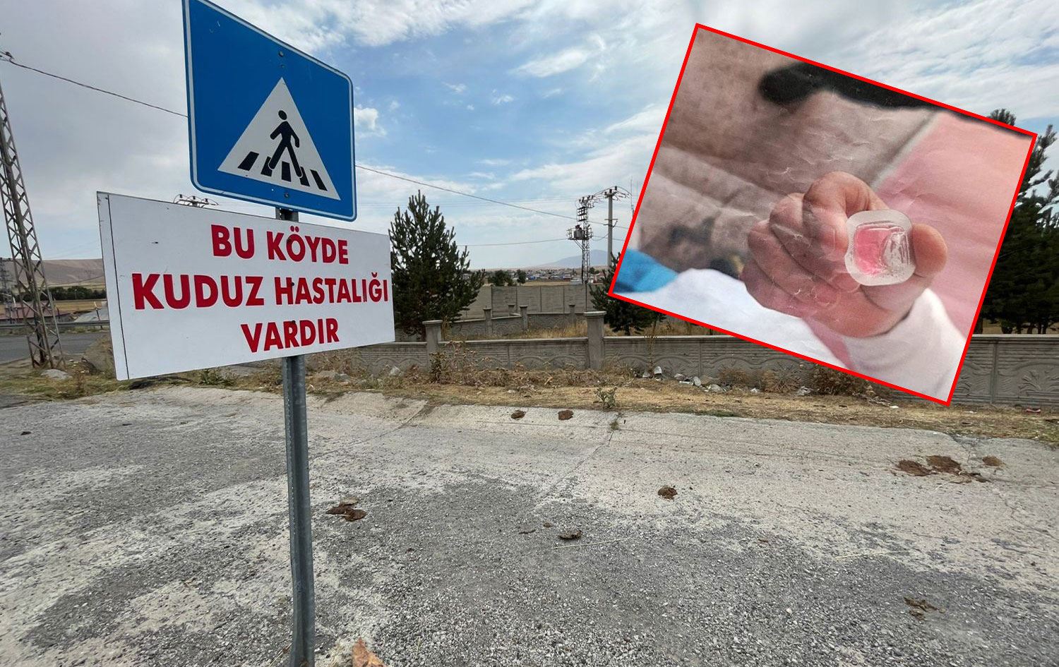 Foto: Ajanslar / Amida haber