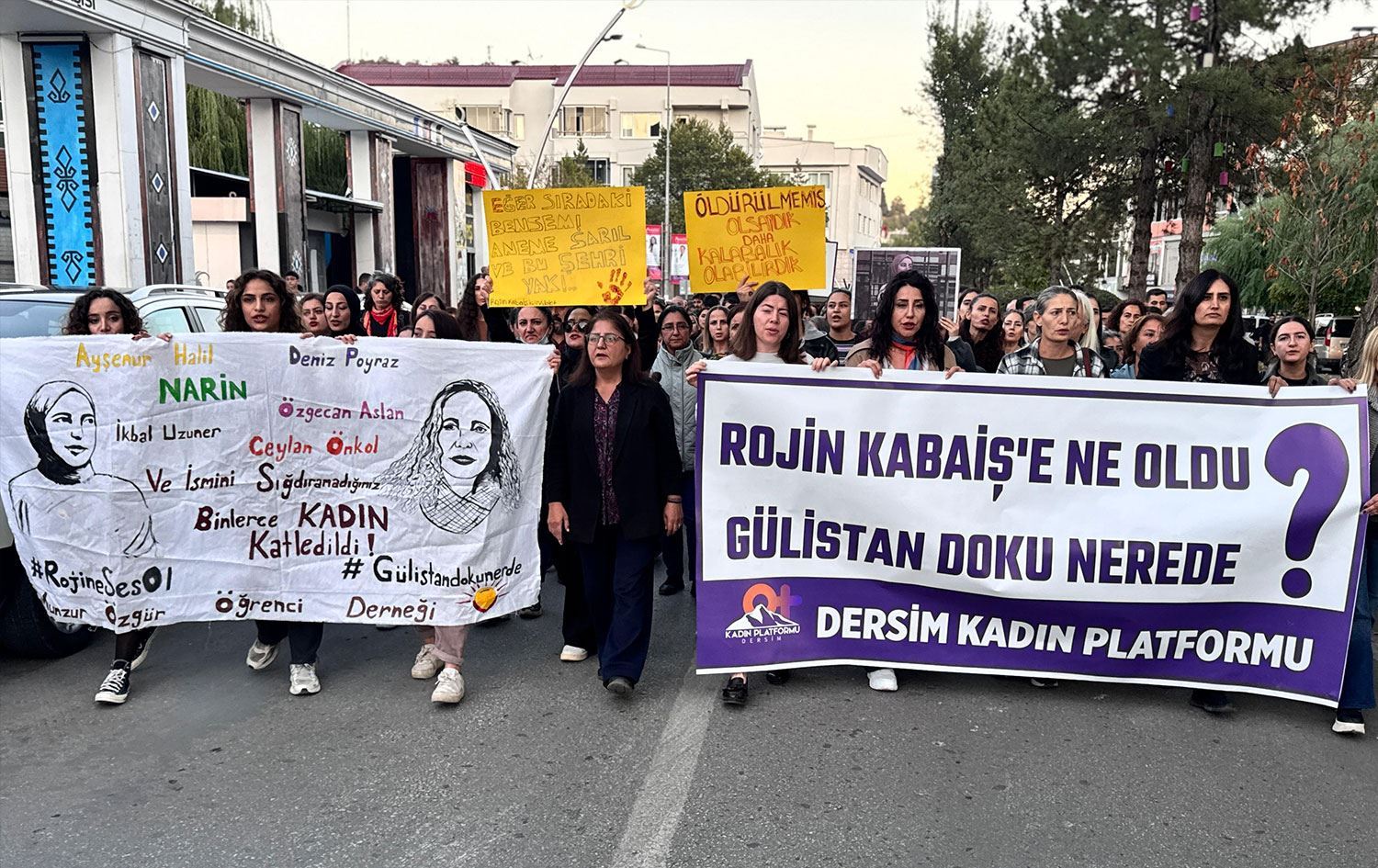 Dêrsimî ji bo Rojîn Kabaîşê meşiyan