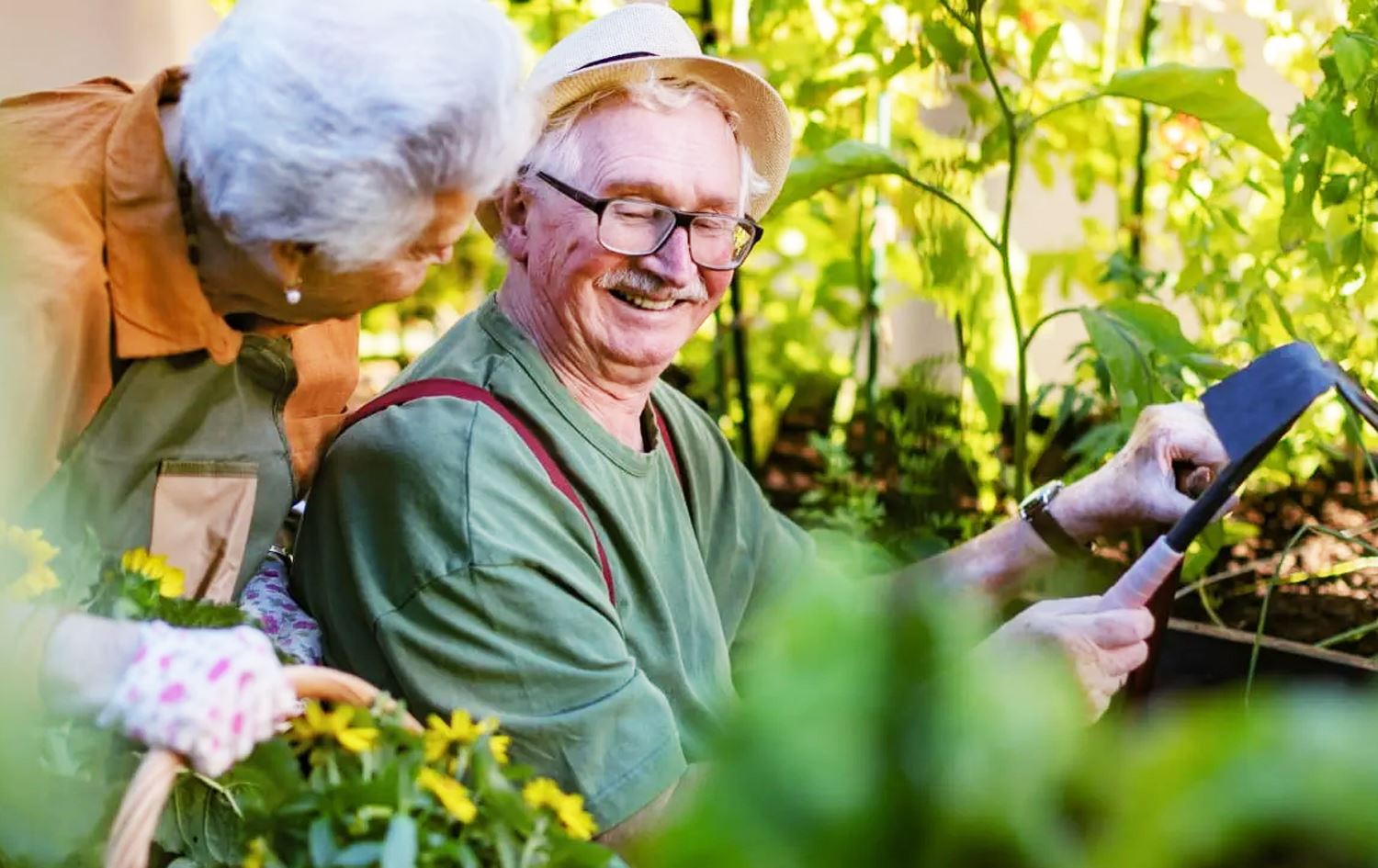 سکووڵی پزیشکیی هارڤارد: مانەوە لەنێو سەوزایی هەستی شەڕانگێزی کەم دەکاتەوە