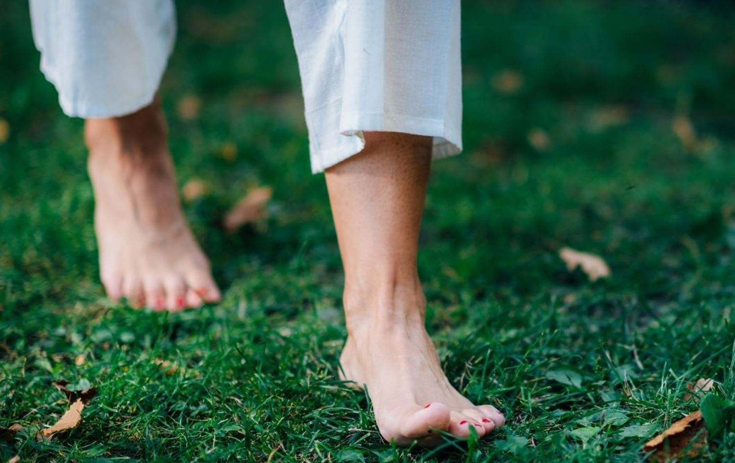 Keseke ku bi pêxwasî dimeşe / Wêne: Arşîv