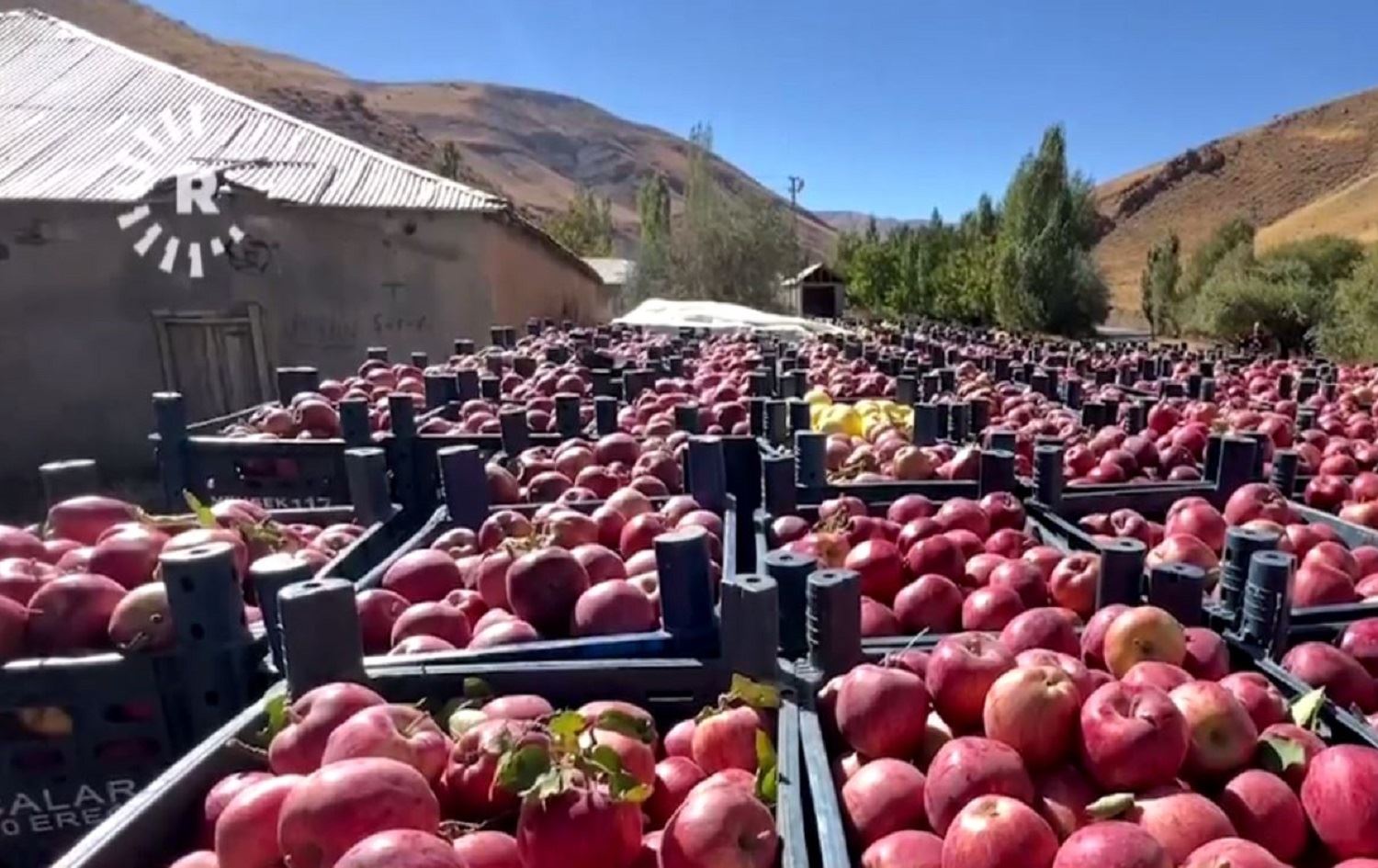 Sevên Geverê / Wêne: Rûdaw