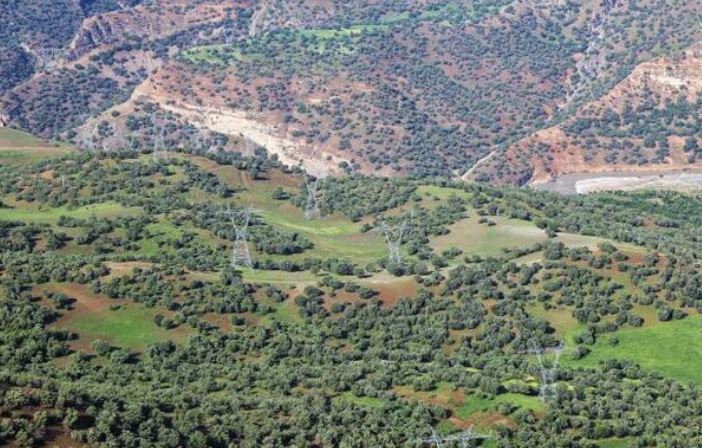 Daristaneke Îlamê\ Wêne: Arşîv