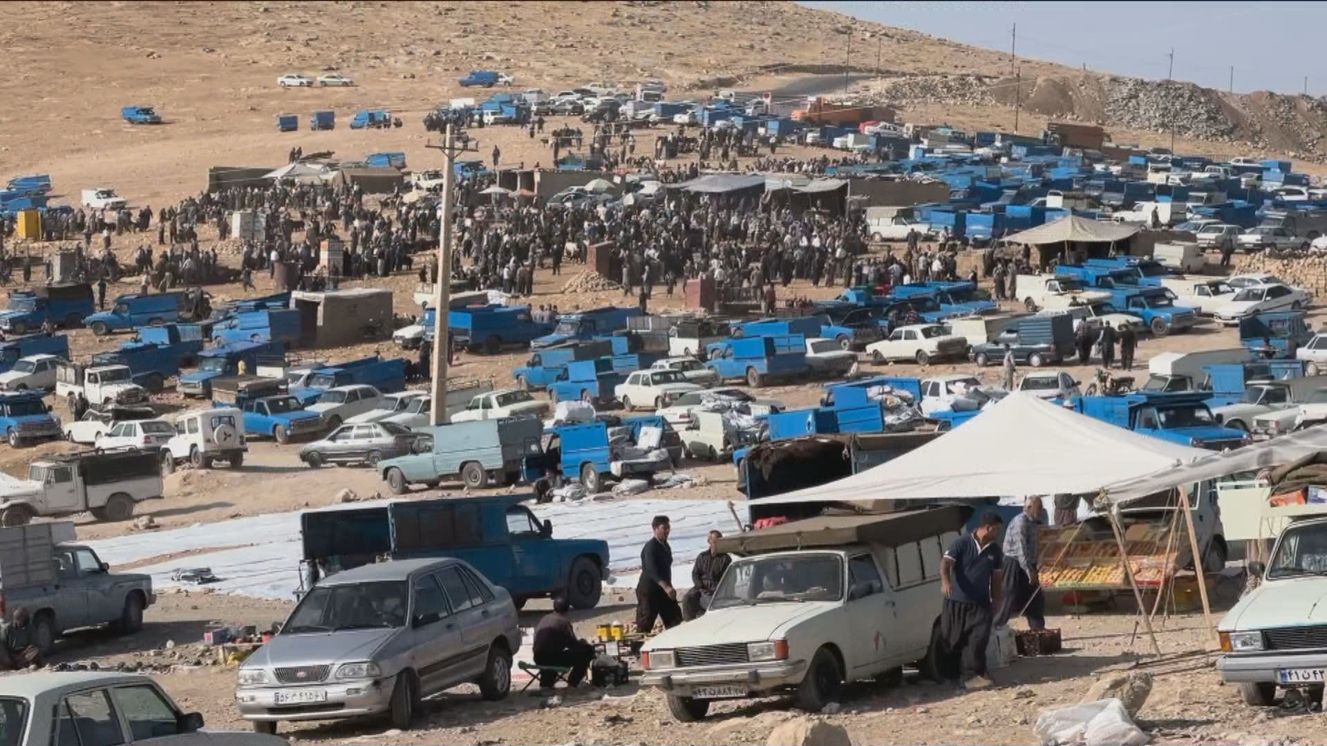 Iran shifts from exporter to importer of meat as local production plummets