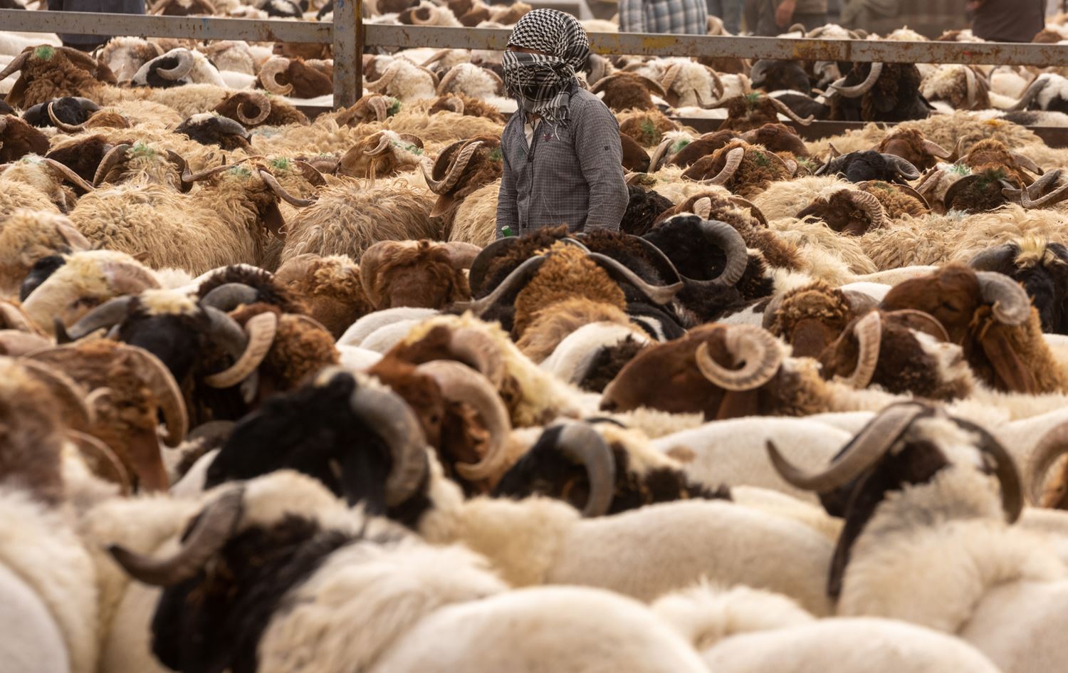 Meydana Ajelan a Hewlêrê / Wêne: Rûdaw