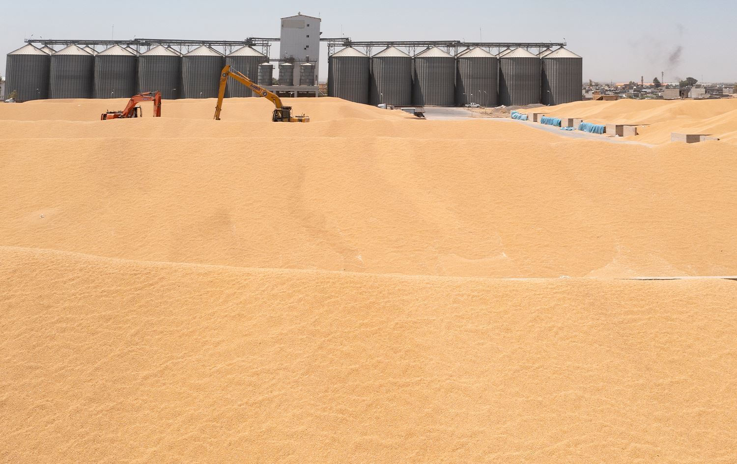 سایلۆی هەولێر: تەنیا 25٪ی پارەی گەنمی جووتیارانمان لە بەغداوە بۆ هاتووە