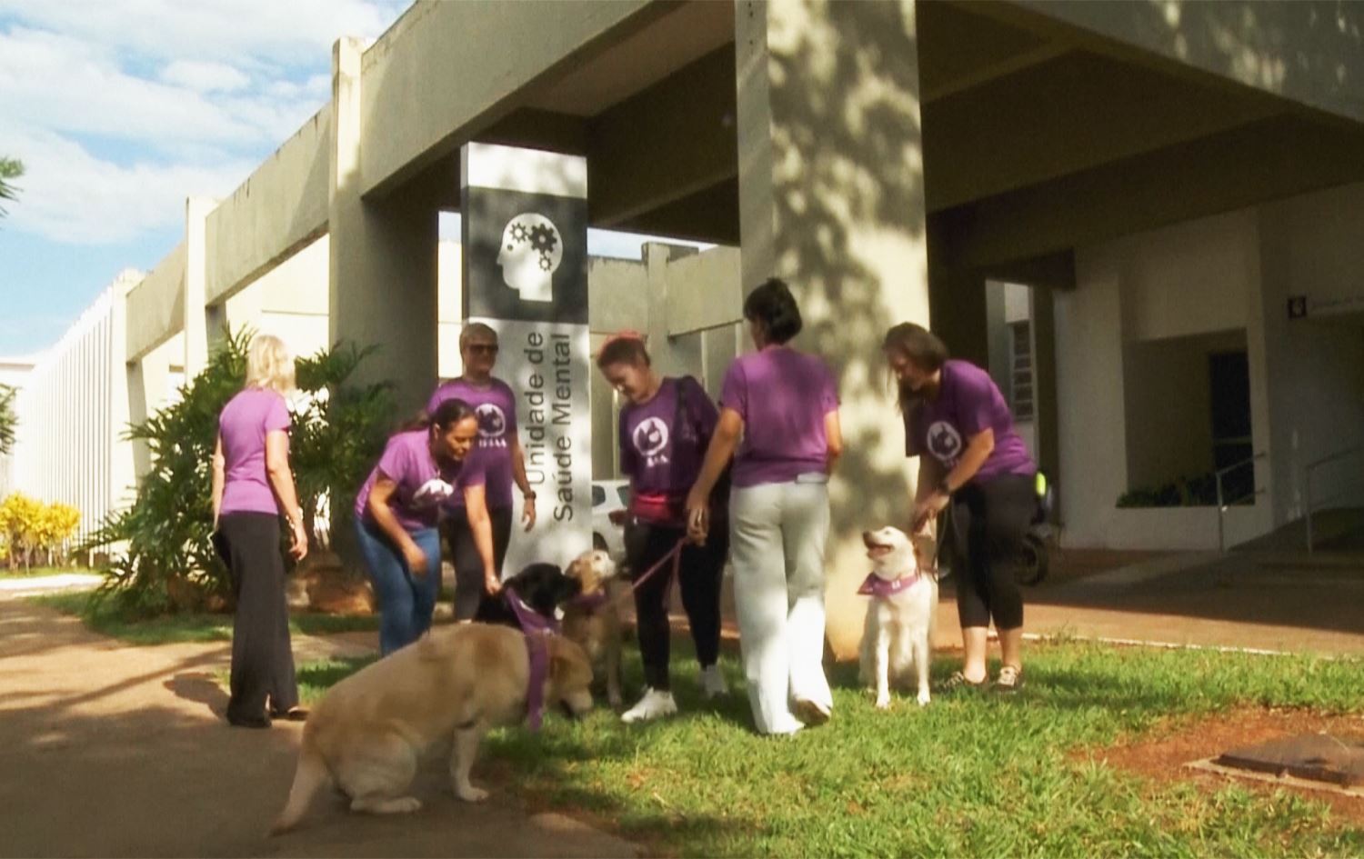لە بەرازیل مامەڵەکردن لەگەڵ سەگ وەک چارەسەری دەروونی بەکاردێت