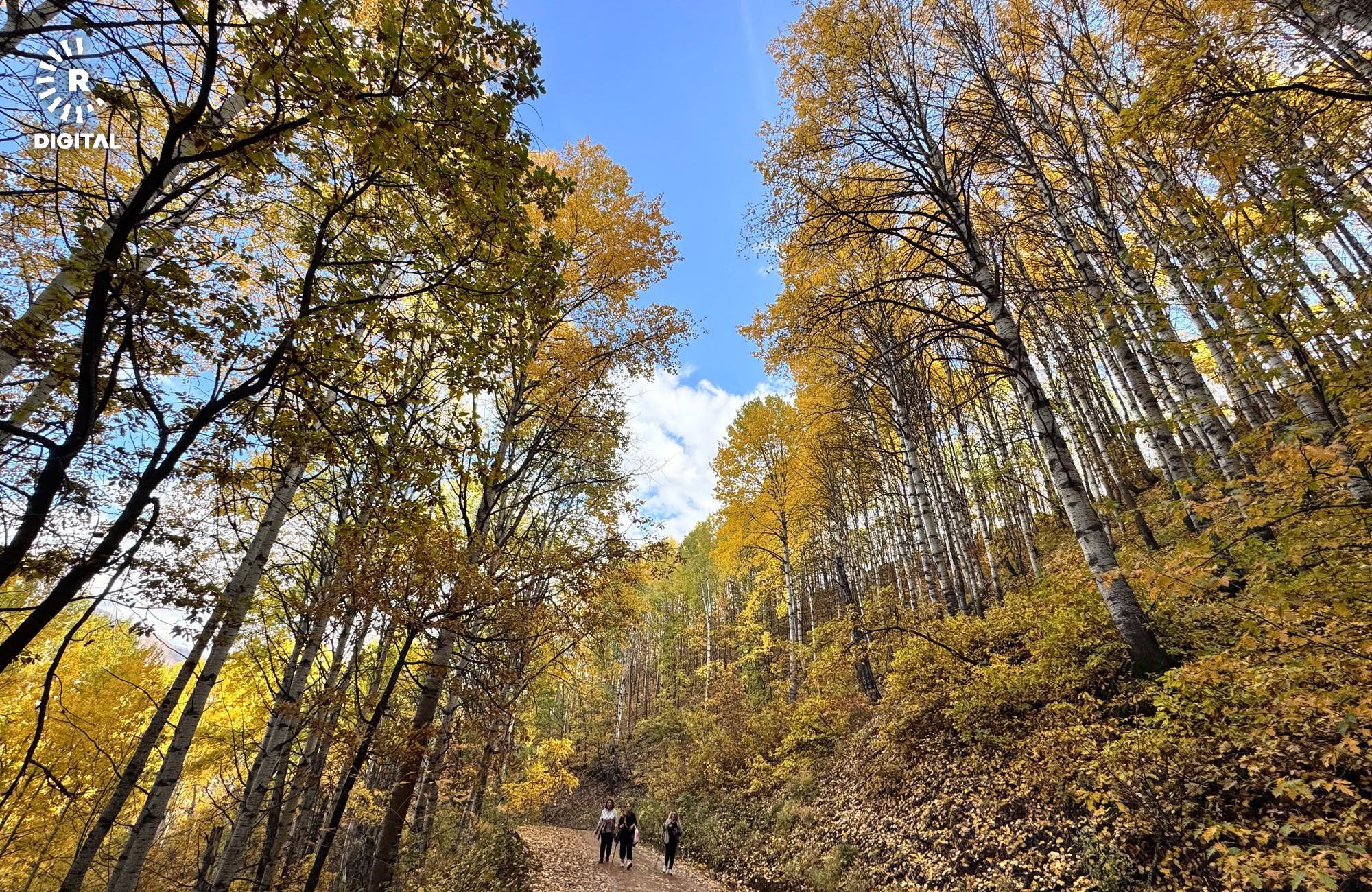 Payîza Dêrsimê/Wêne: Alî Haydar Gozlu - Rûdaw