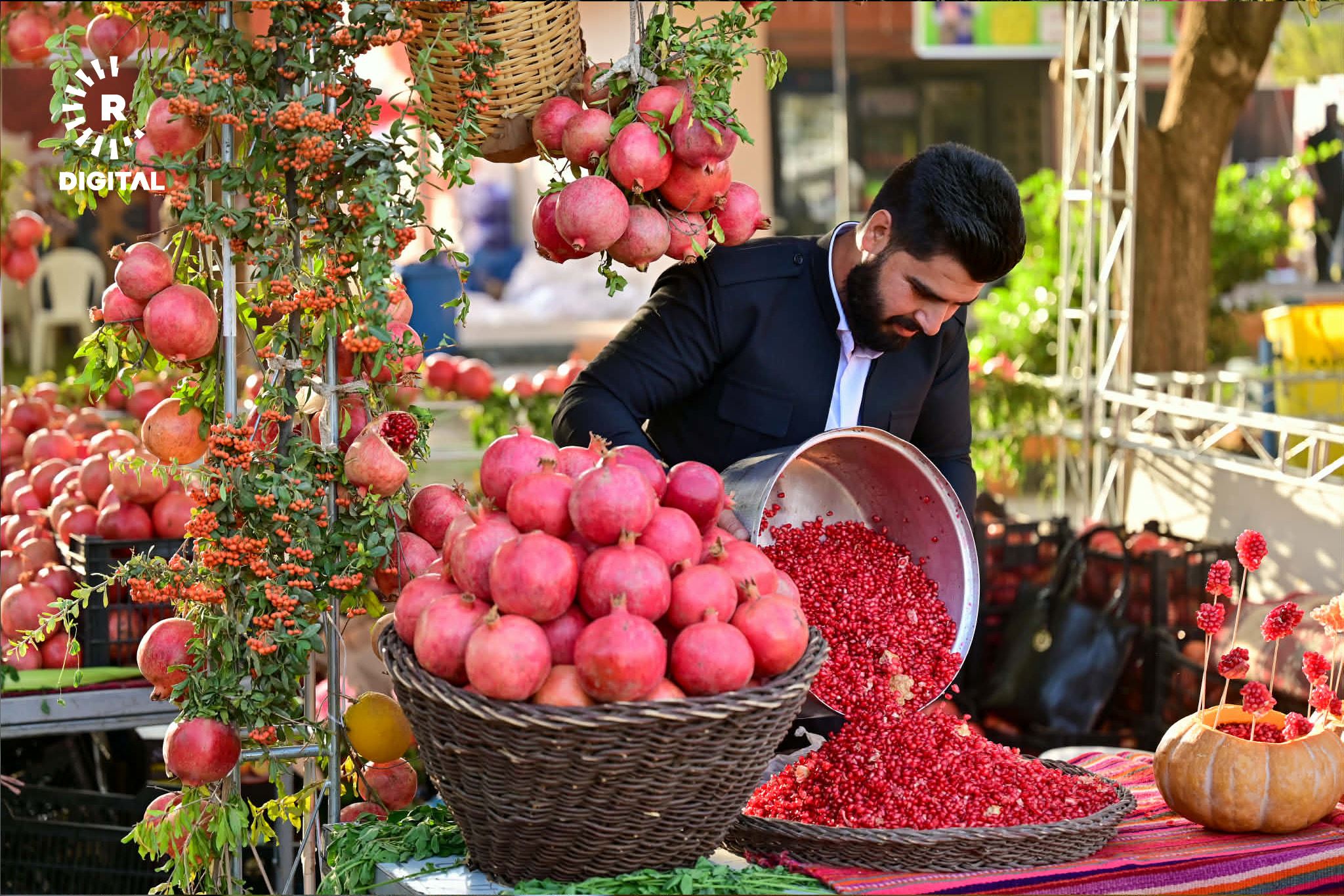 Halabja pomegranate festival kicks off, 300k visitors expected