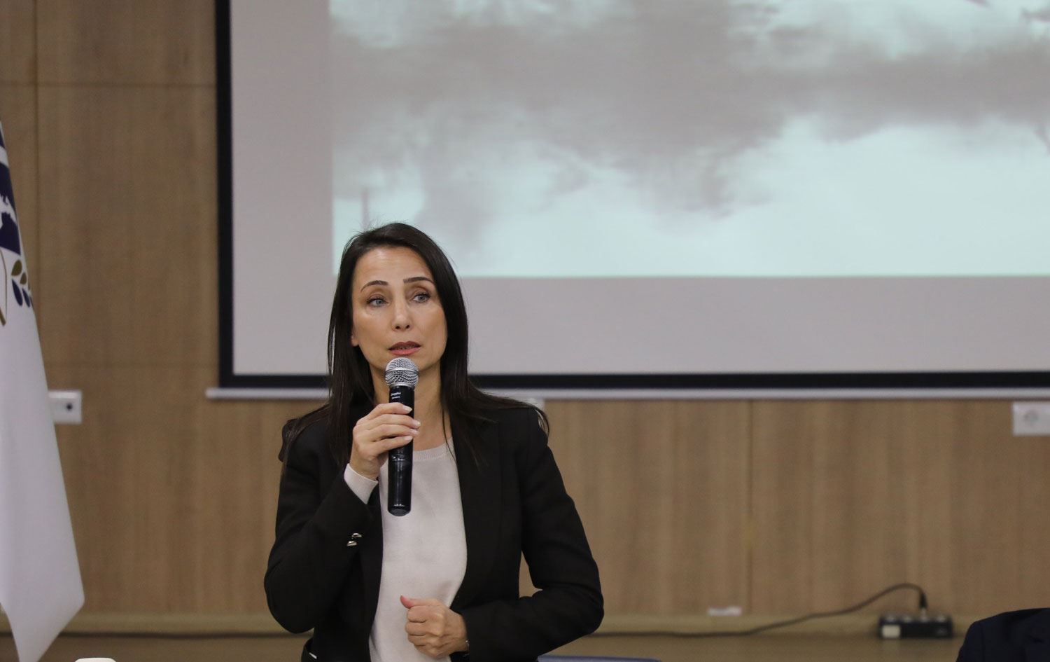 Tulay Hatîmogullari / Wêne: @DEMGenelMerkezi