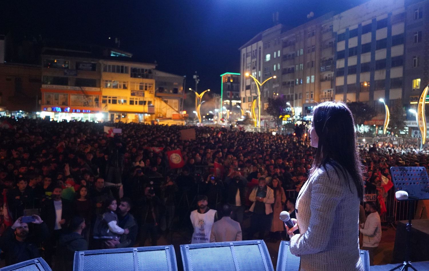 DEM Parti Eş Genel Başkanı Tülay Hatimoğullarıı / Kaynak: X