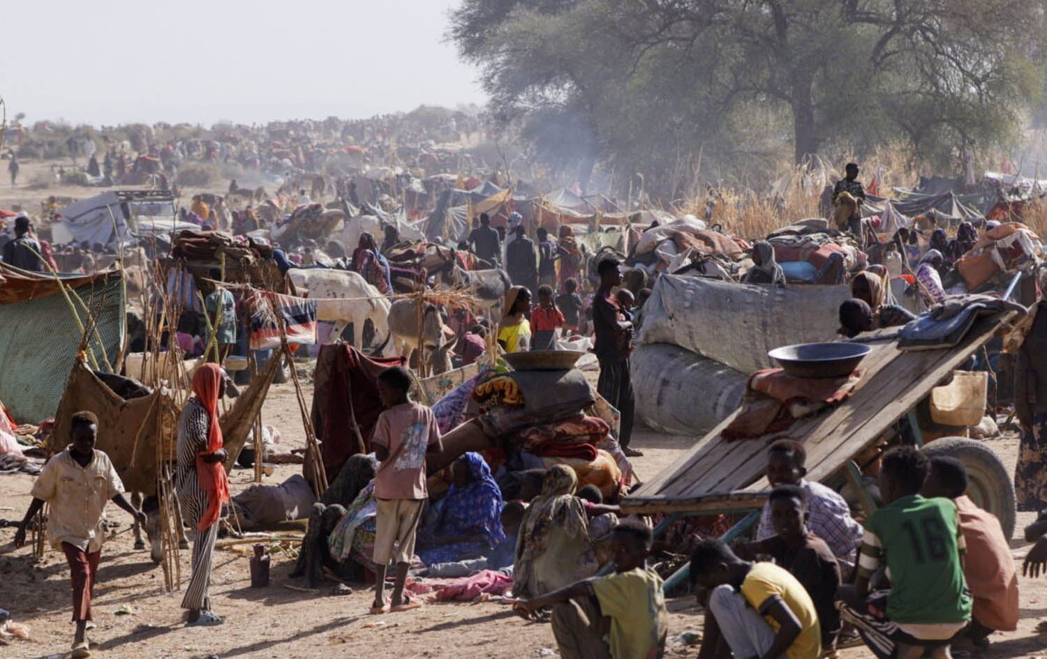 Sudan Devlet Bakanı: HDK, Faşir'e girdikten sonra 2 günde 300 kadını öldürdü