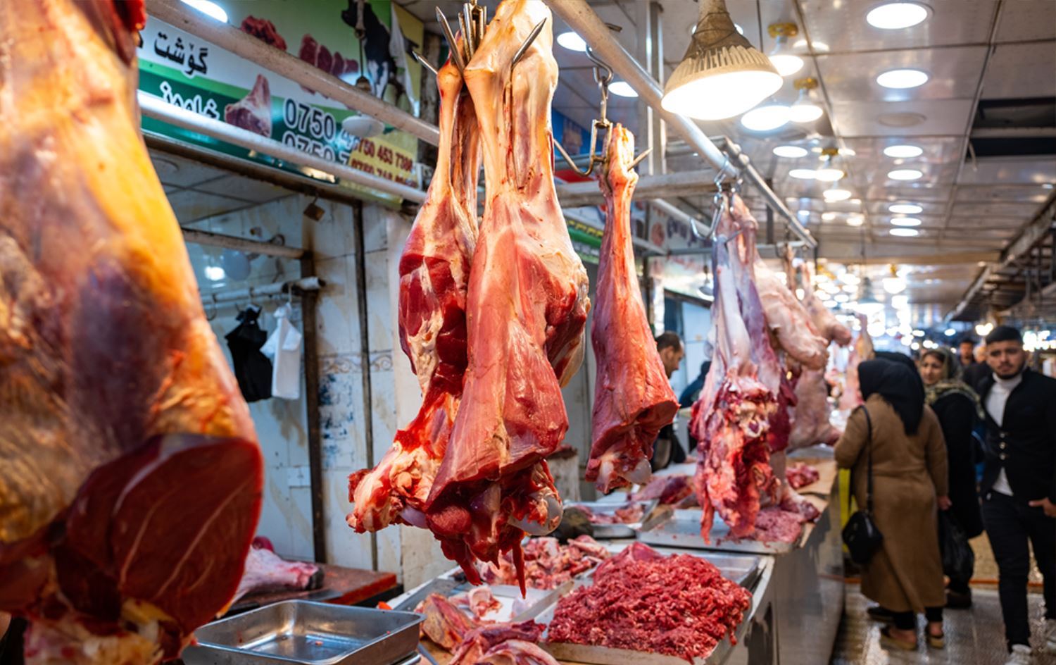 لیژنەی کشتوکاڵی پەرلەمانی ئێران: تاوەکو دوو مانگی دیکە کێشەی کەمیی گۆشت و مریشک سەرهەڵدەدات