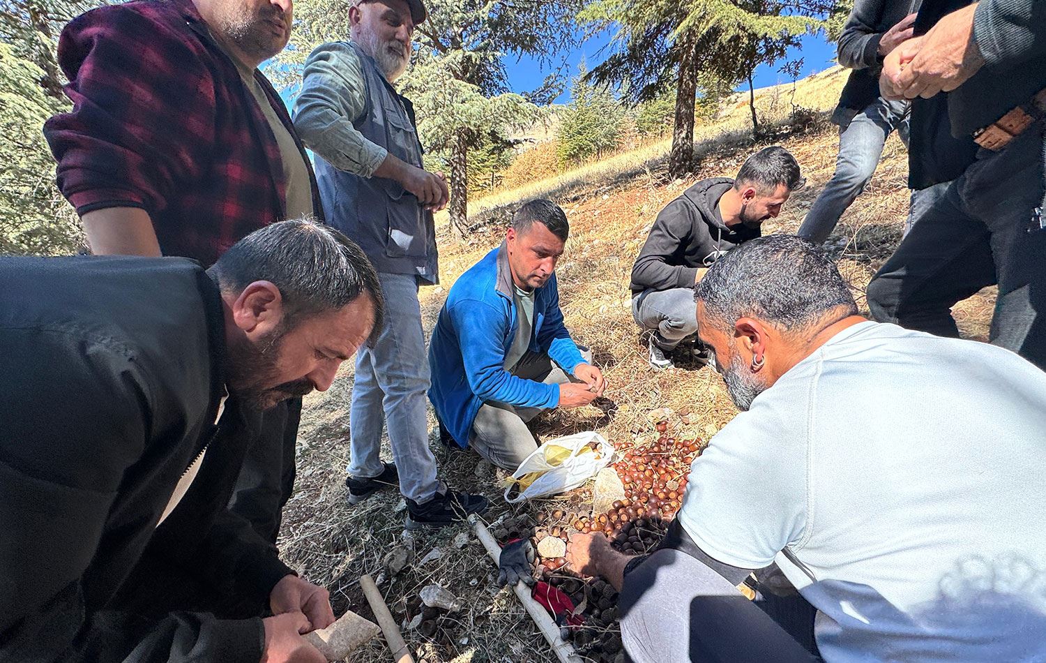 Hozat'ta vatandaşlar meşe palamudu ekti. / Foto: Ali Haydar Gözlü / Rûdaw
