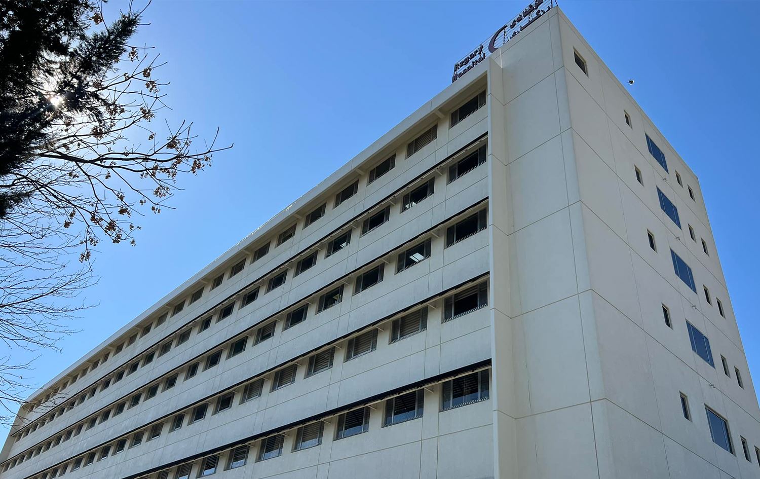 لە نەخۆشخانەی رزگاری لە هەولێر لەماوەی سێ مانگدا، 251 گەستراوی سەگ تۆمار کراون