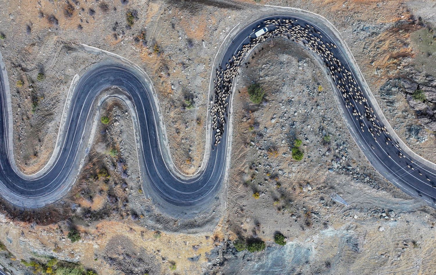 Rêwîtiya koçeran / Wêne: AA