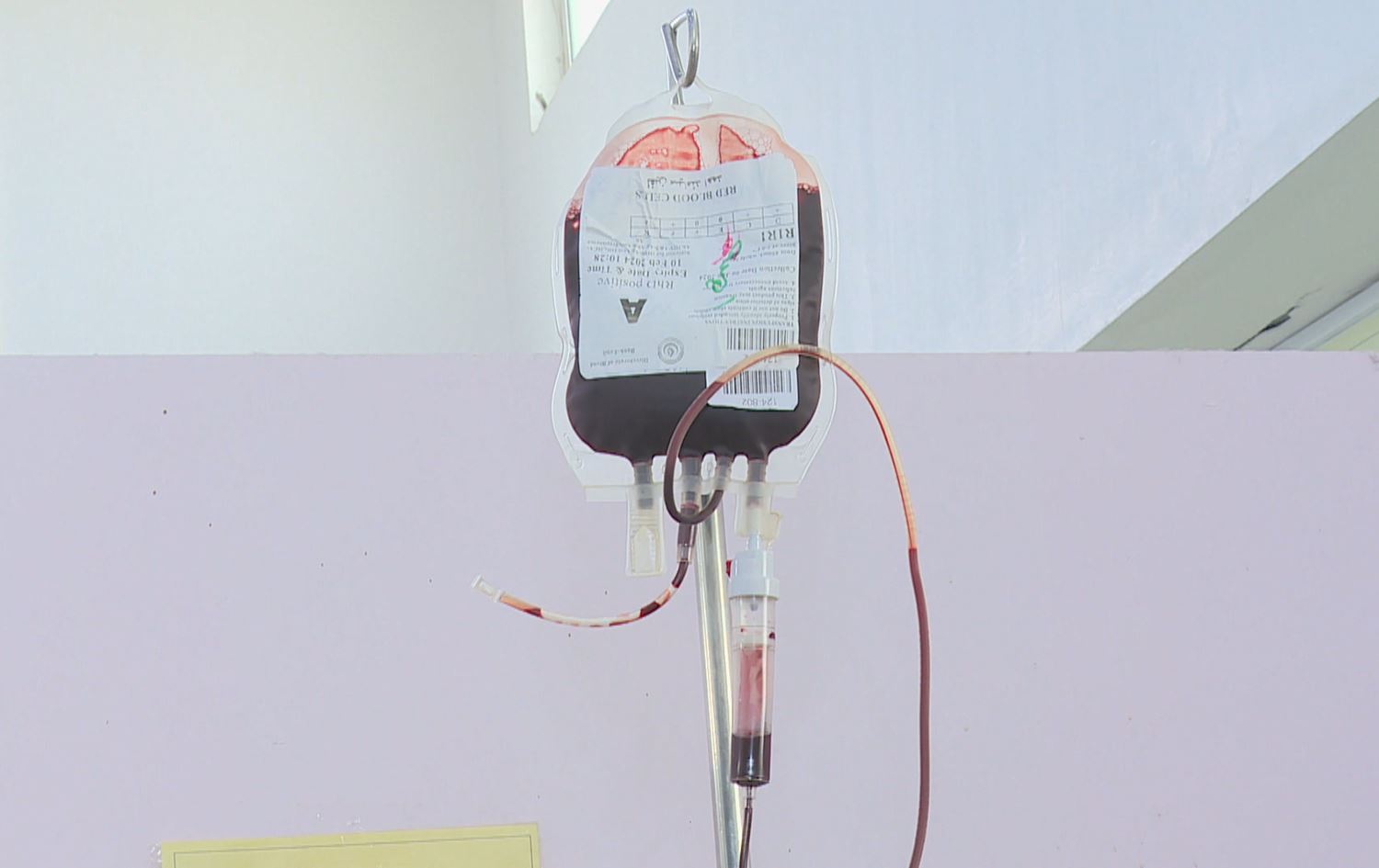 پسپۆڕێک: رێگری لە تالاسیمیا و بنبڕکردنی زۆر ئاسانە، بەڵام پێش پێکهێنانی ژیانی هاوژینی