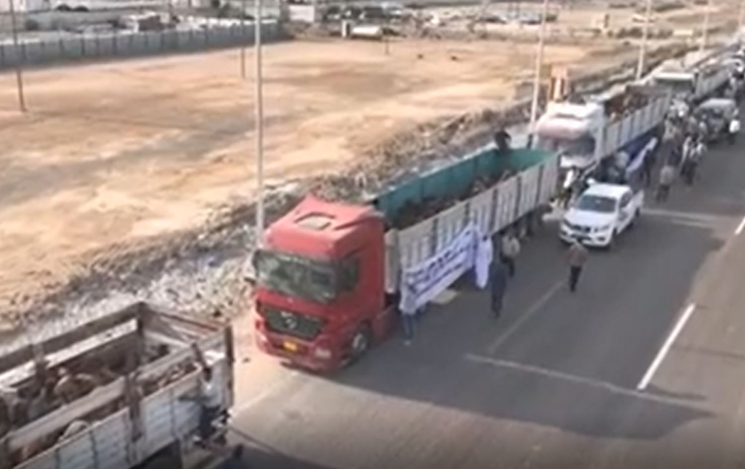 ڤیدیۆ.. لەبری کوشتنی مامۆستایەک لە بەسرە 200 حوشتر وەک خوێنبایی درا